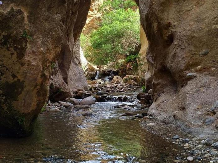 Albergue La Paz De Las Alpujarras Padules Экстерьер фото